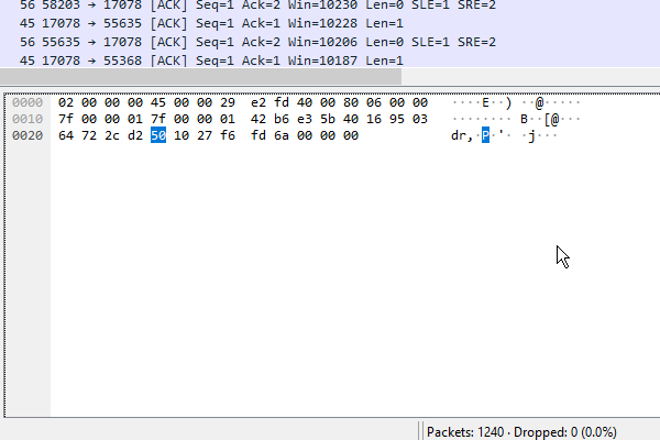بخش Packet Bytes در نرمافزار وایرشارک نشان داده شده است - وایرشارک چیست