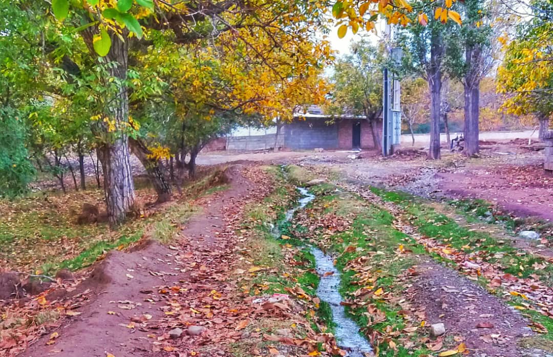 پاییز عاشق